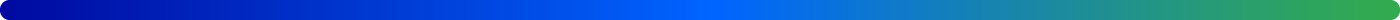 XReport_Divider_line