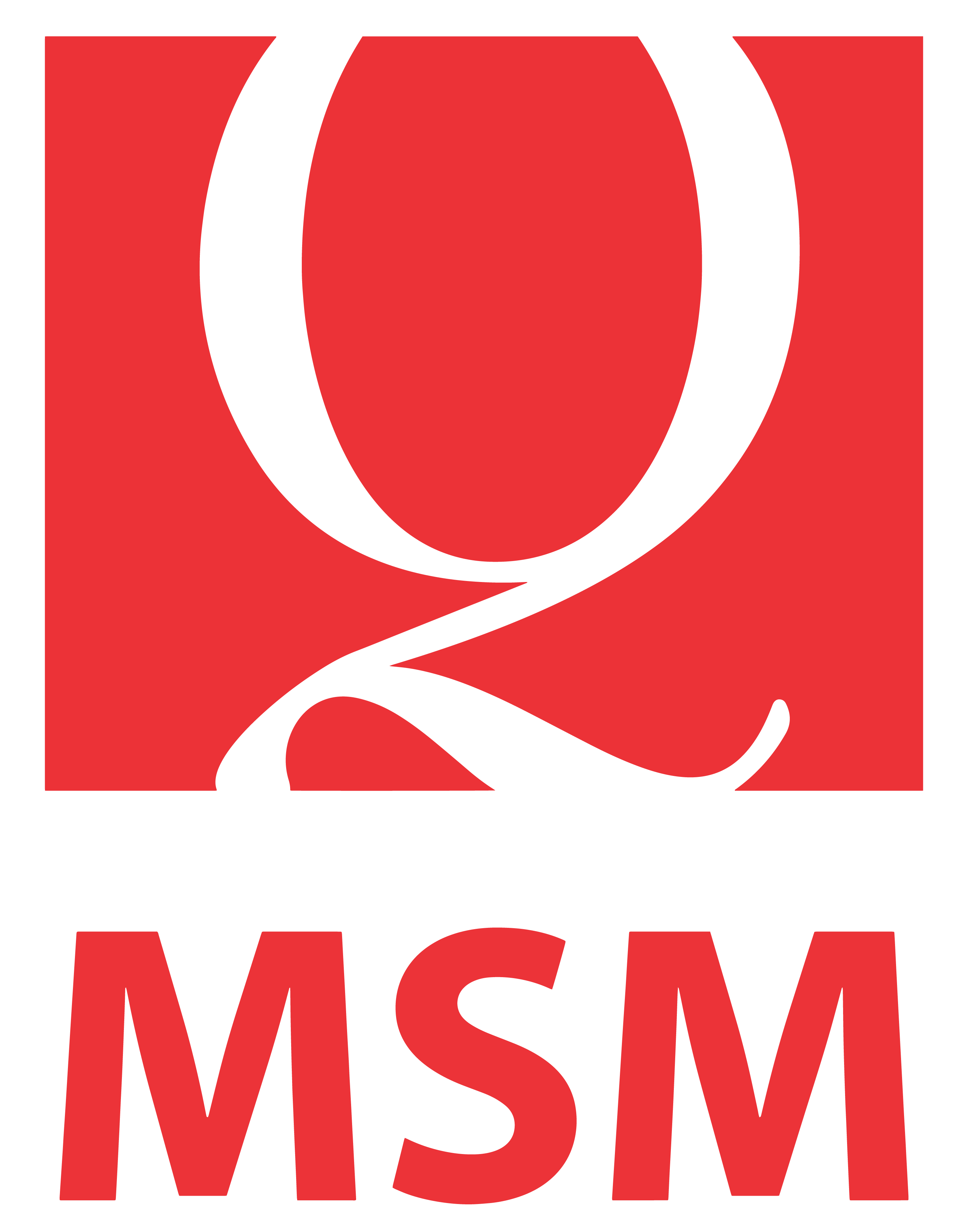 MSM LOGO-01
