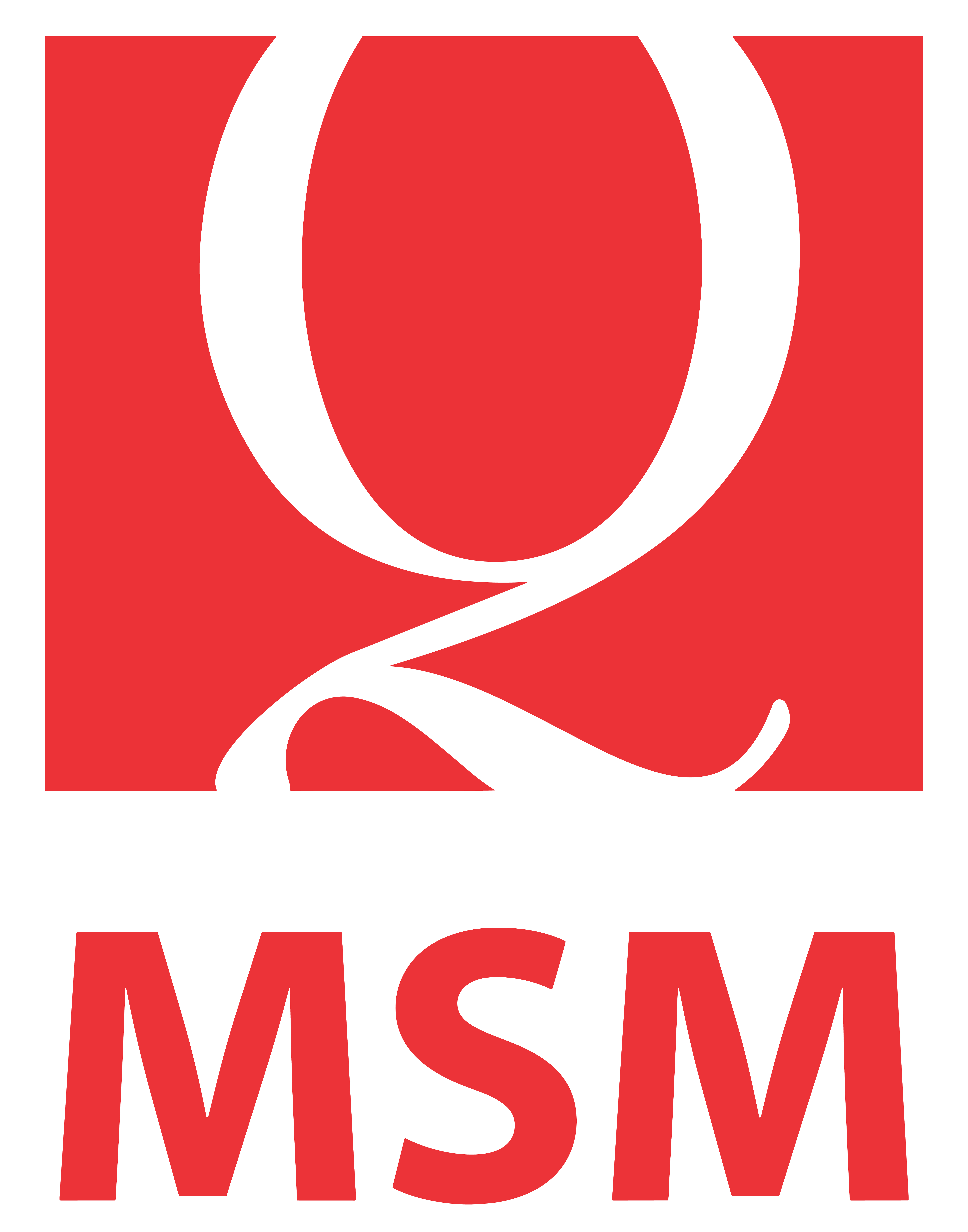 MSM VECTOR LOGO-01